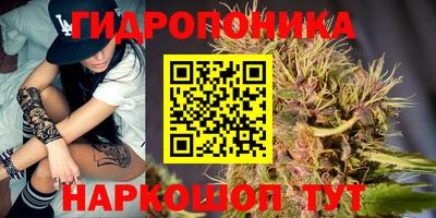 хмурый Шелехов